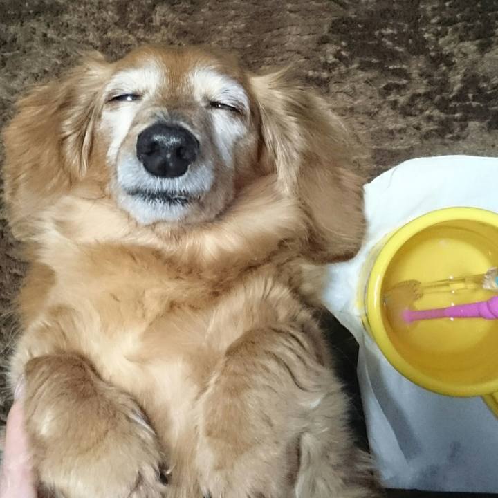 E2f04612 f0e2 4eb5 801b 93a780abdd2e