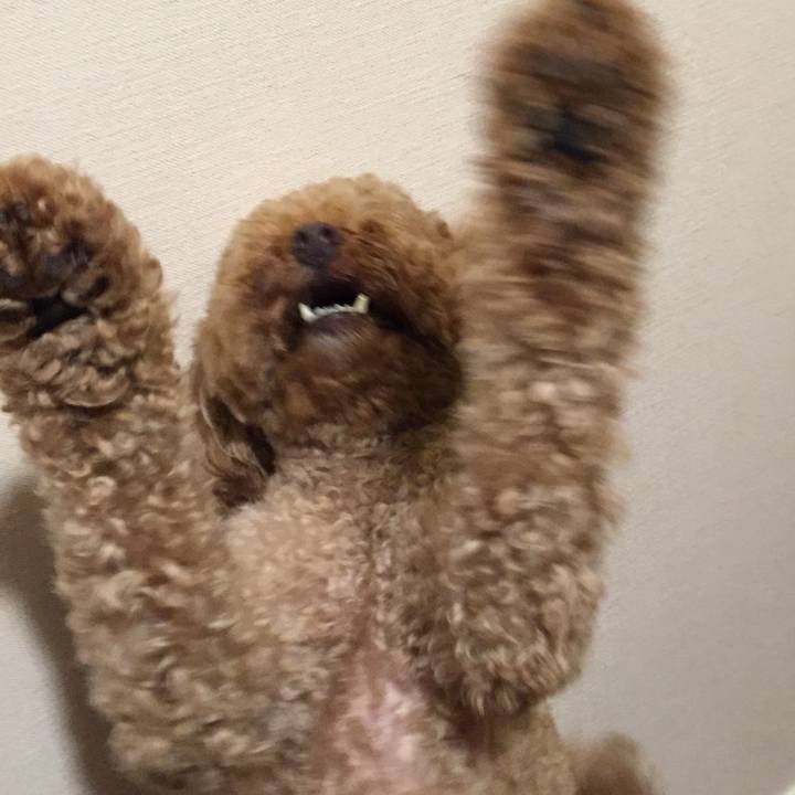 E2f0a973 d56e 4e11 91bd d2e348181601