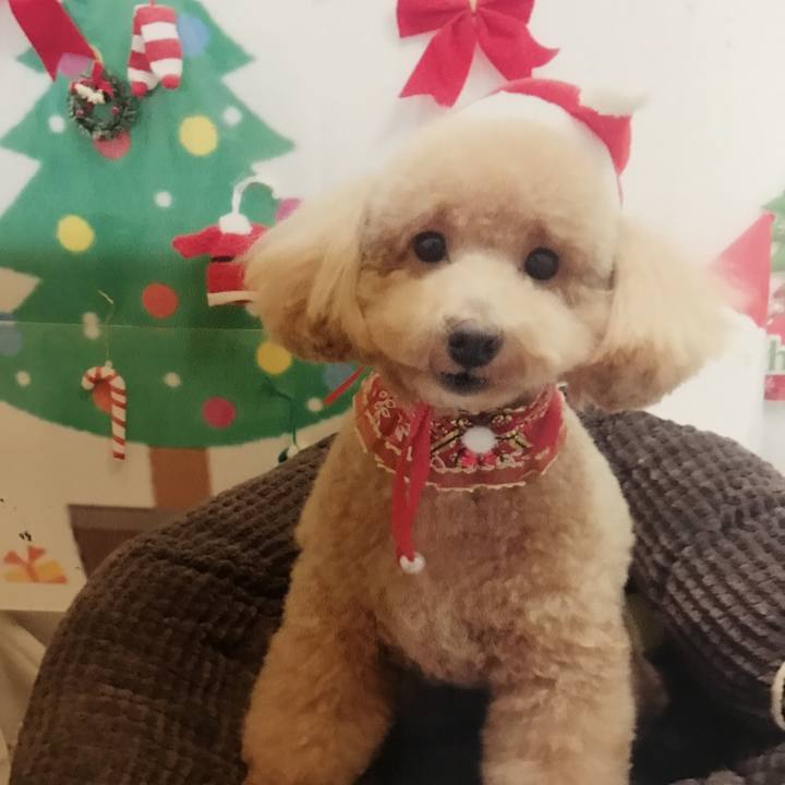 E2f0b991 bff7 41b1 9ca1 234c5a2d4274