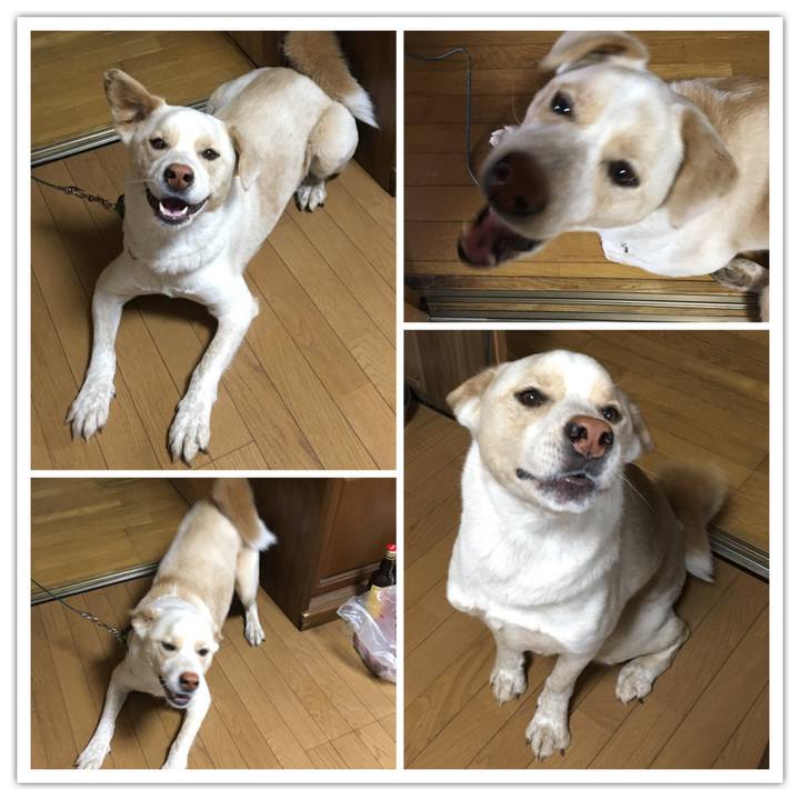 E2f1820f 73c1 4cdc af62 10d801c07158