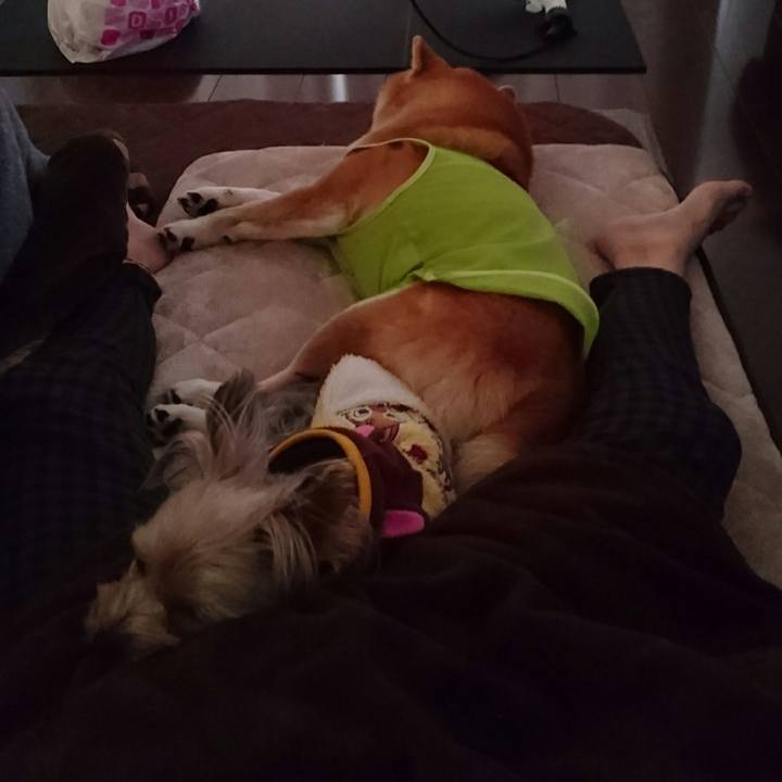 E2f18b50 0722 49a6 97e4 e1afc42eb614