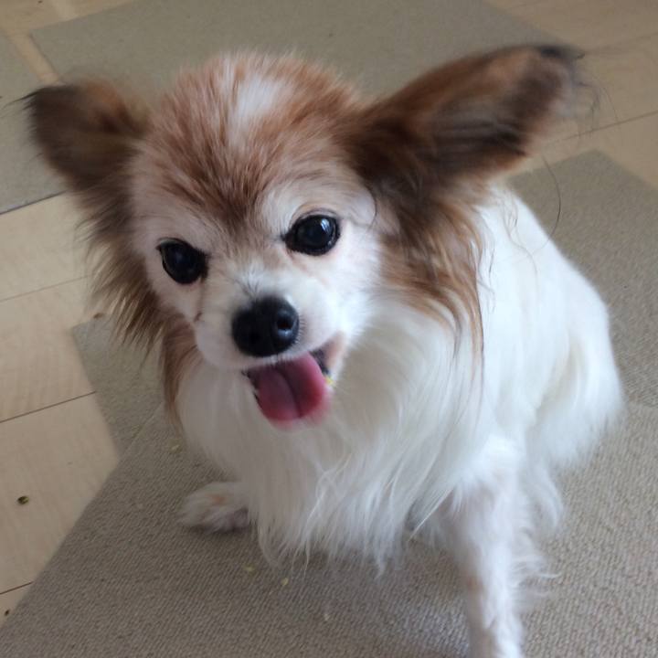 E2f1a2dd 6b1a 438a b05f bfc6708c3333