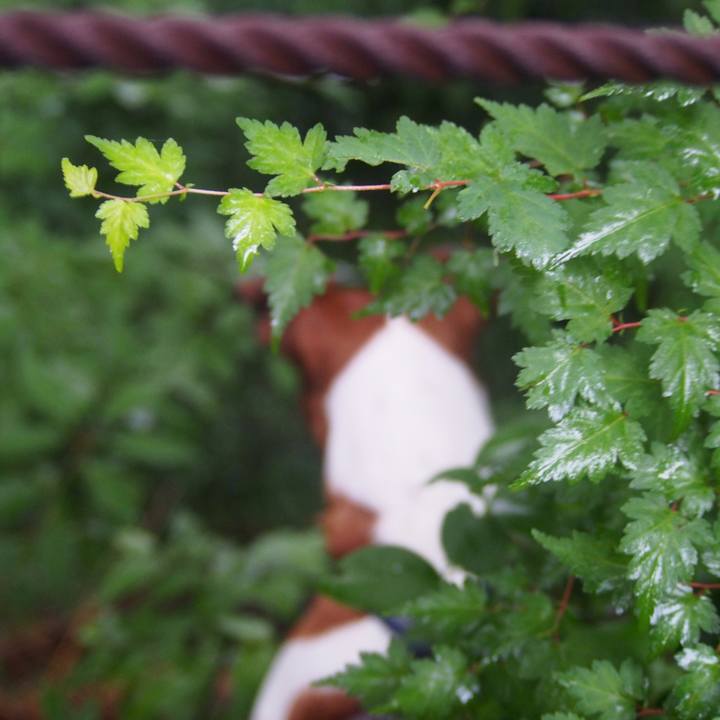 E2f22240 0264 4eb1 8dbb 8dc8d6e11d1b