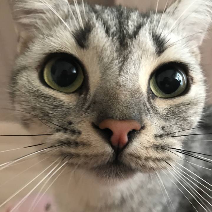 E2f289cb 9c70 4bbb b774 d314e6abf41c