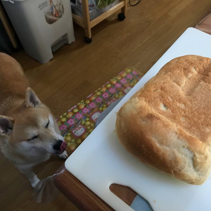 E2f2c3a6 b082 4f30 aa7a 1051cba7ad54