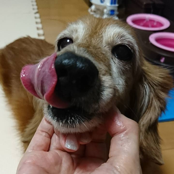 E2f2d9ca e238 4c83 baa6 0fb7663d852d