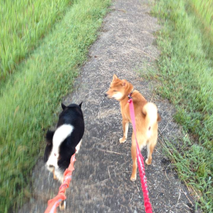 E2f3014a 901e 46fe 8199 68a99ac11ef7