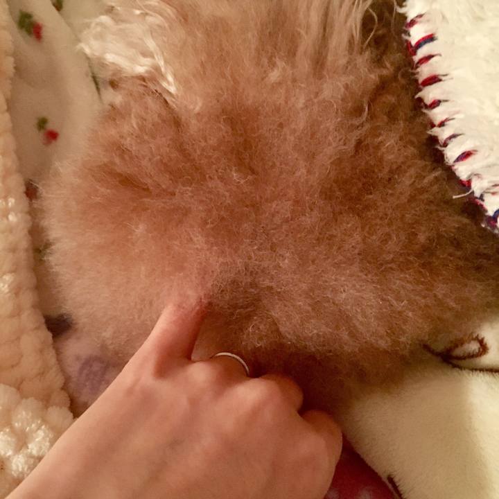 E2f33c2c 4679 4ffc ab77 291b87d4f8d0