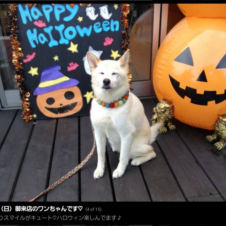 E2f35000 cfa7 43ac b298 12b3a378e2d3