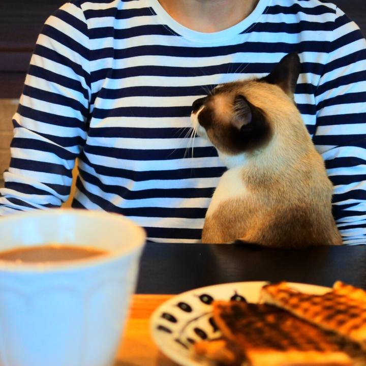 E2f3e588 9f8c 4b76 a55e a14920788263