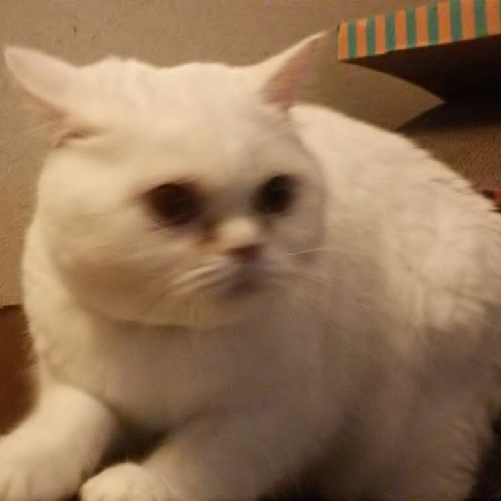 E2f50d5a f551 41c7 a0ba dd0d034b0f4e