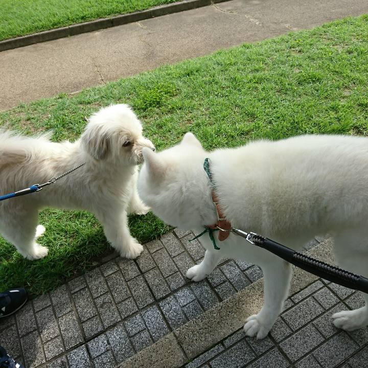 E2f513b0 7ac8 45ca 8d2e d7db9bec5bf7