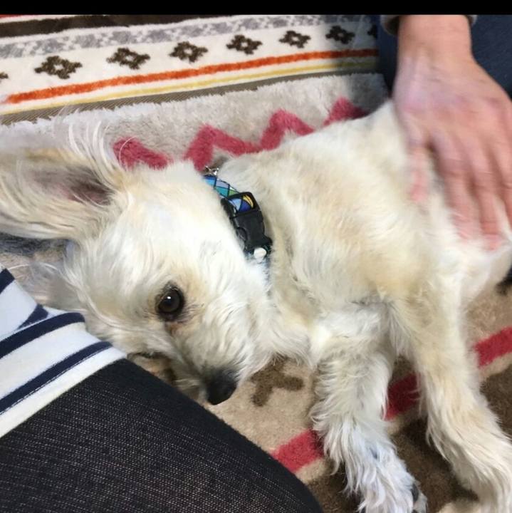 E2f51f4d fab1 4dbe a63a 0f44000f8d12