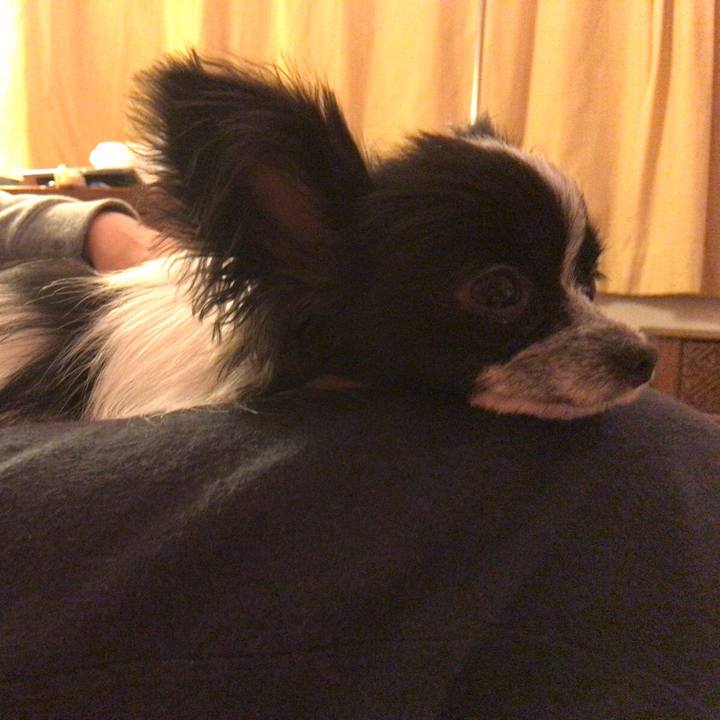 E2f5516f db48 4dd2 9c74 f48462cda964