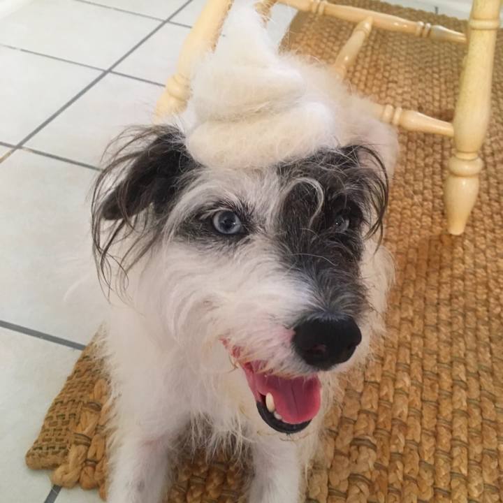 E2f571ca 56f2 4e6e 920a 41ff54f5b1d5