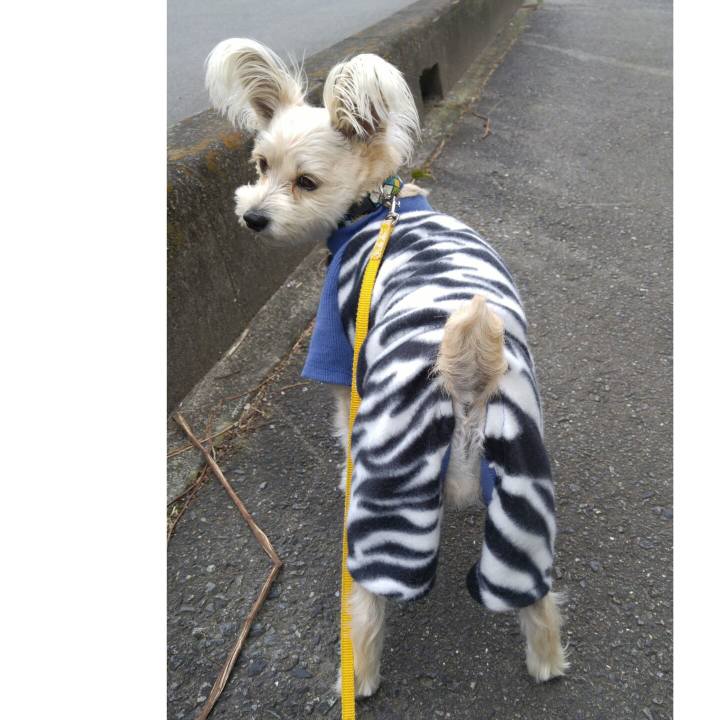 E2f65234 641a 4d64 874b bb1b44c836be