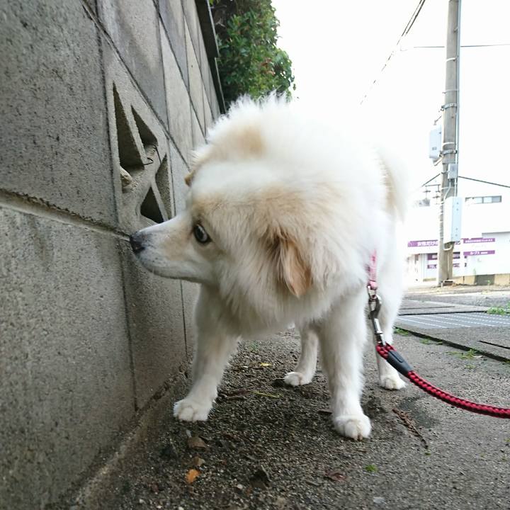 E2f6812e d50a 4fdc a859 abcc5b68ef66