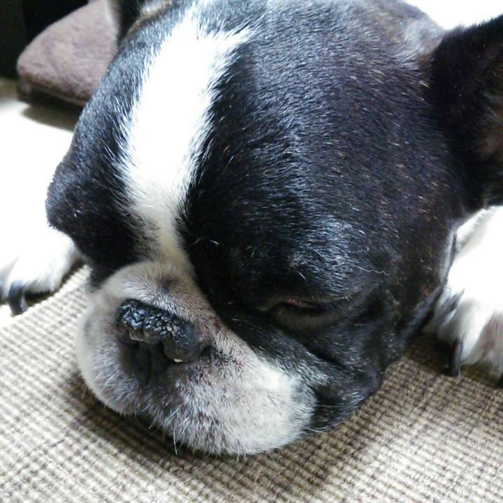 E2f683cf 59b4 45f3 9223 d2c3e0f5c5ca