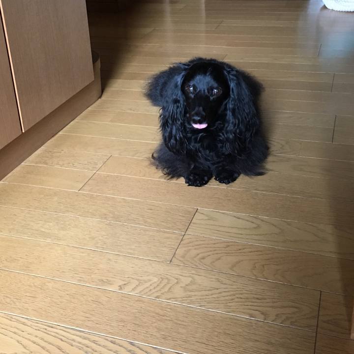 E2f687c6 823a 4a29 ba76 67c7bd8e1430