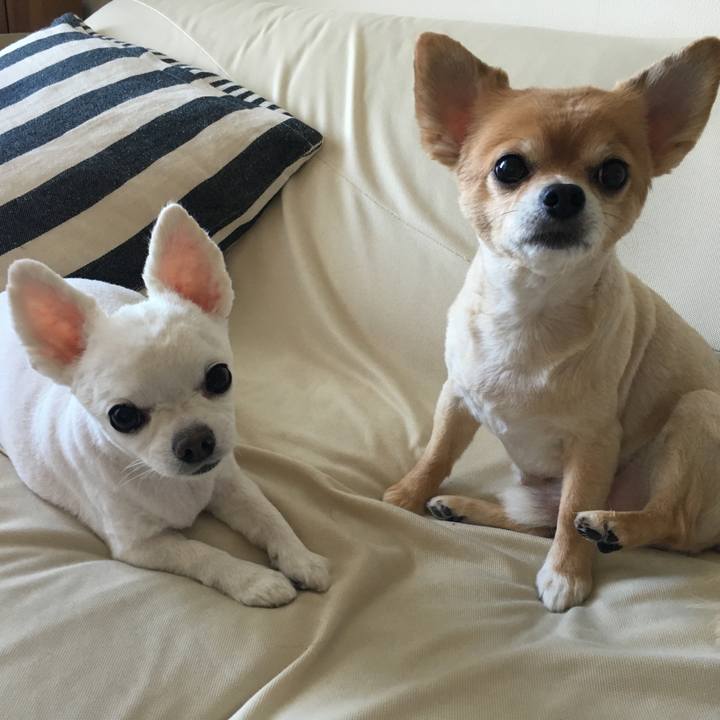 E2f69a60 515d 4559 bdc0 ad75302c235b