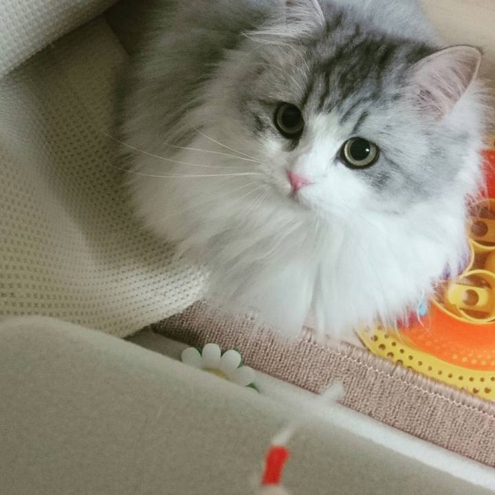 E2f6ea6c cdfc 469c 8e95 1293d61eb932