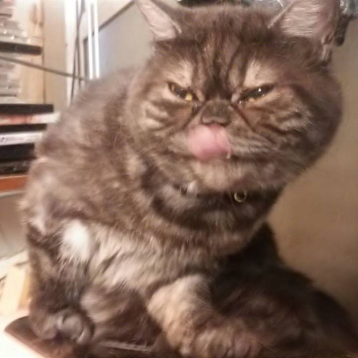 E2f7ab92 ff2d 459d 81e4 15488c1efb5e