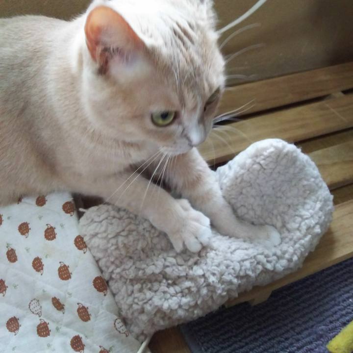 E2f7ec1e 7ef8 4cbf bbeb 2397a28a8a22