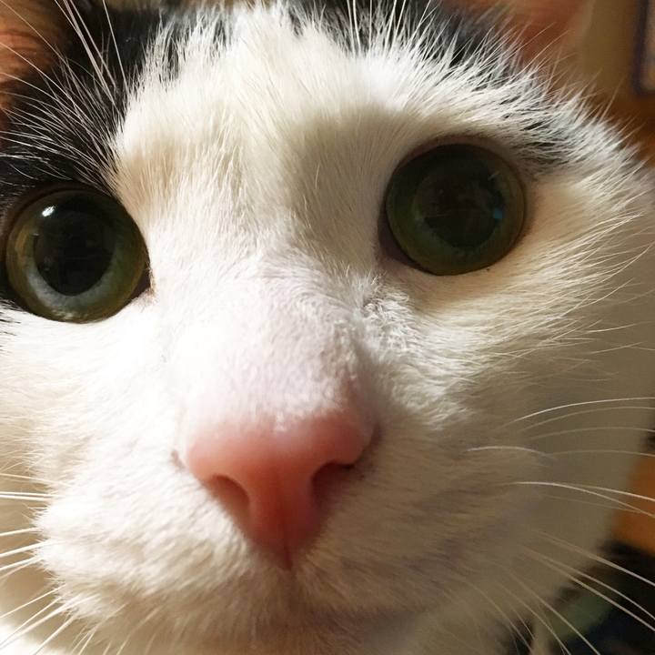 E2f84ca4 1bd6 4008 9924 e3f106b5e2c8