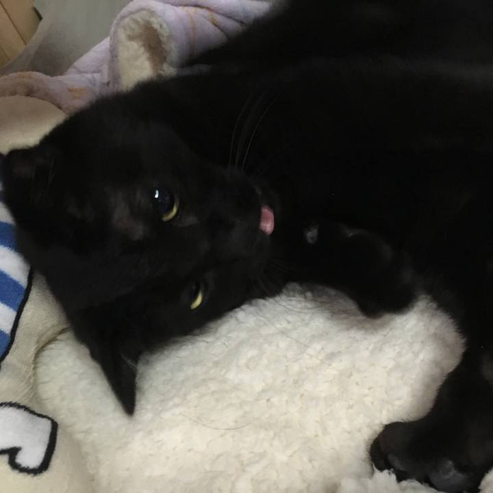 E2f9e5cf 6cd7 40ef 938d 58cea9a55de3