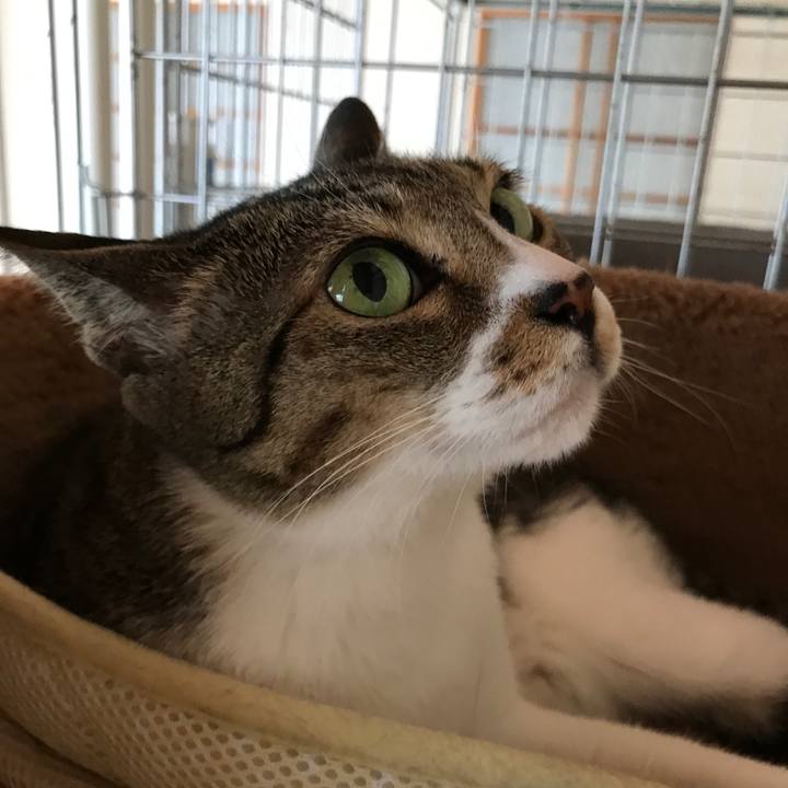 E2fa15ef 68c0 4886 896e 7f7199162ceb