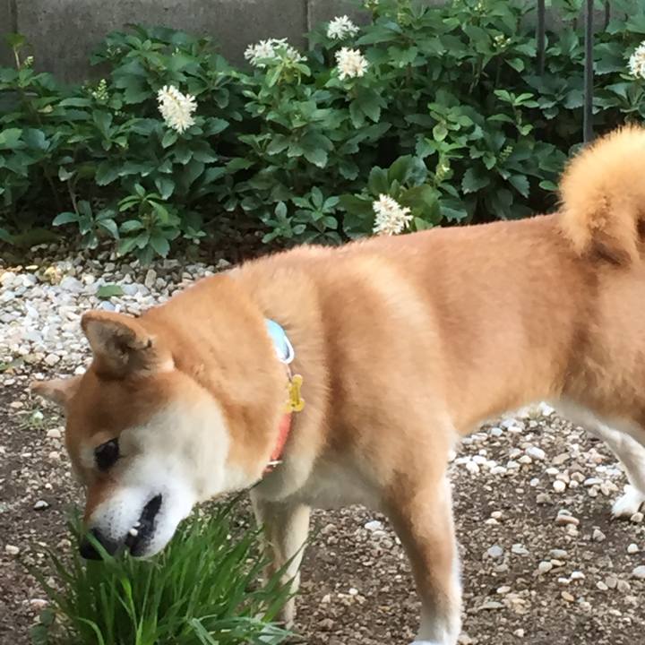 E2fa4a3b 9673 44ce ace5 2bb9b17411d8