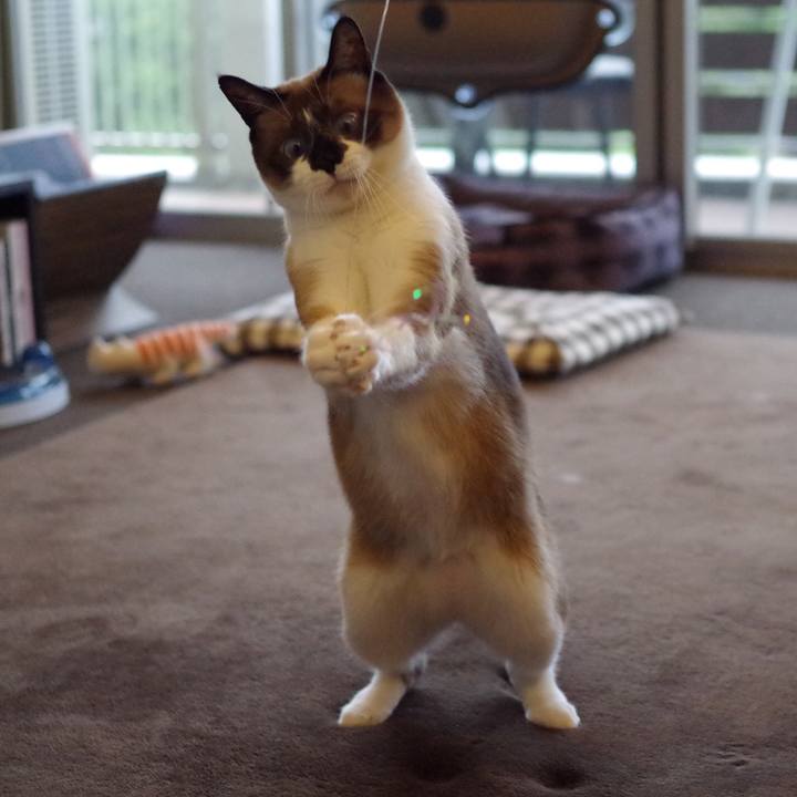 E2fa5d8b d9b0 4961 8cea 5b48fc9ac759