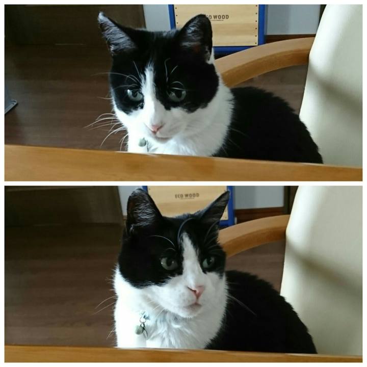 E2fab61c f21d 4cc7 9be5 95e04e5f2046