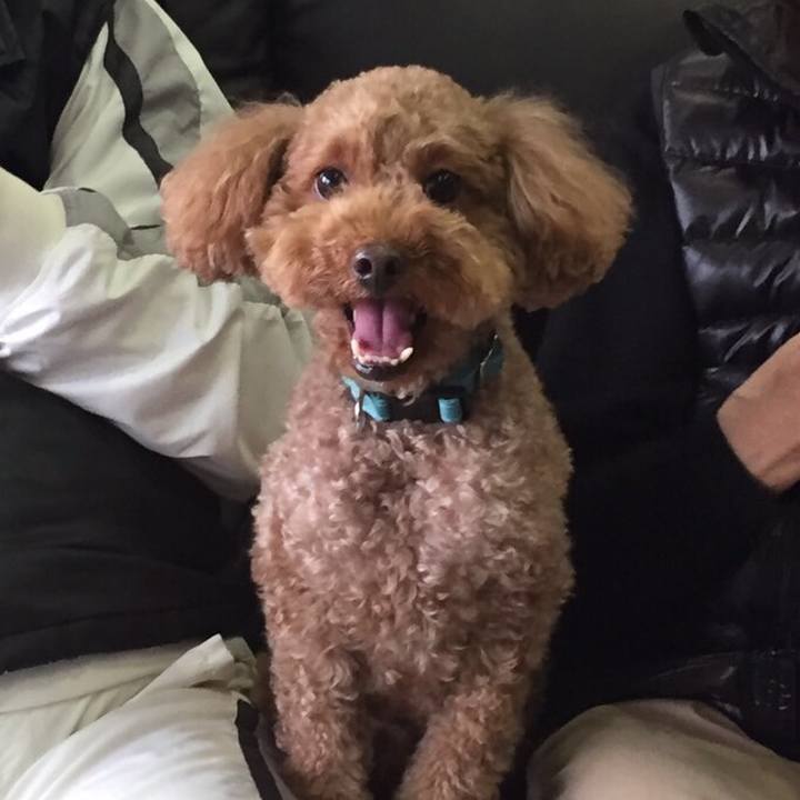 E2fb030f 718b 49dd 99da 86bfab062195