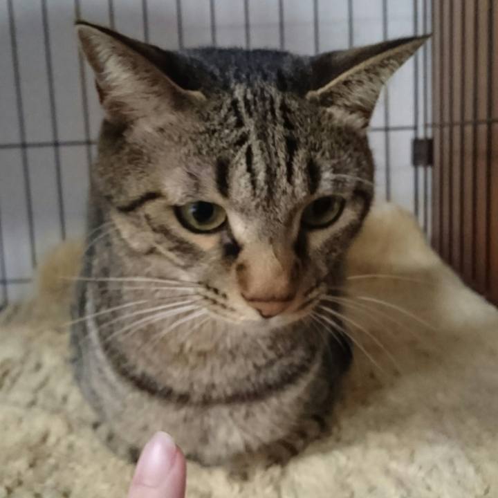 E2fb370e 0e22 4cd0 a8a8 df841213d8e2