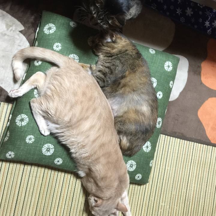 E2fb845b 15ed 4f68 a034 12bdd5f38a8e