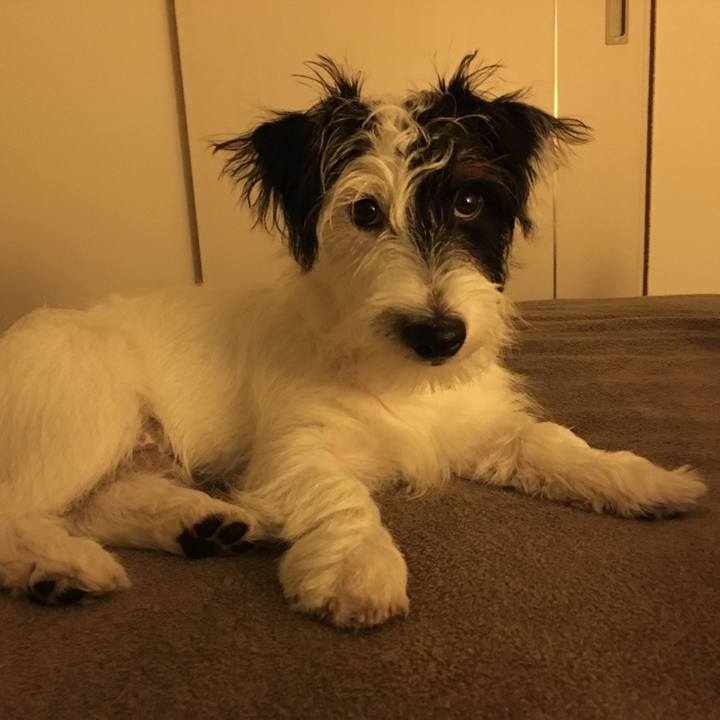 E2fca944 a0c2 4c1b a642 a99cf10febaa