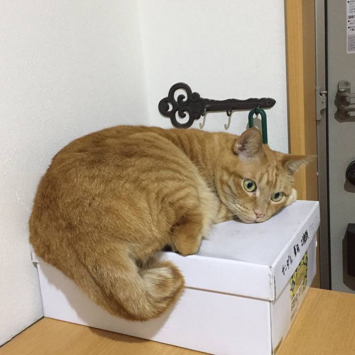 E2fcb0ab 4ed7 49c4 ac0b a9a107849433