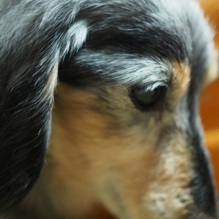 E2fcc978 5c87 416b 8281 2e275602748c