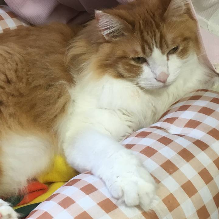 E2fceff1 82ea 4cd1 98d9 b39cf2ed726d