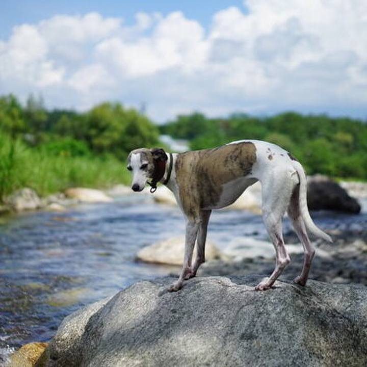 E2fcf151 ae01 4e64 87b9 1629dfdf1f2b