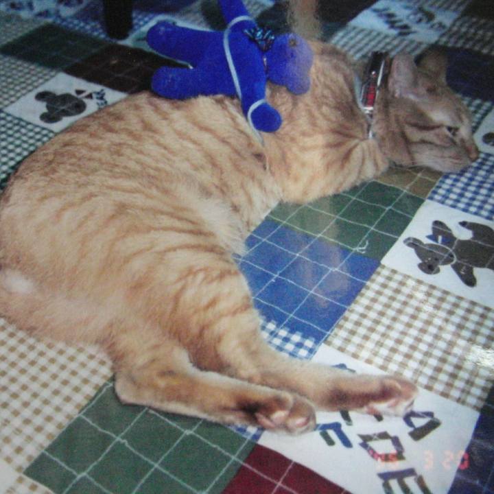 E2fd24be 09d2 4a72 b131 77b02e46183a