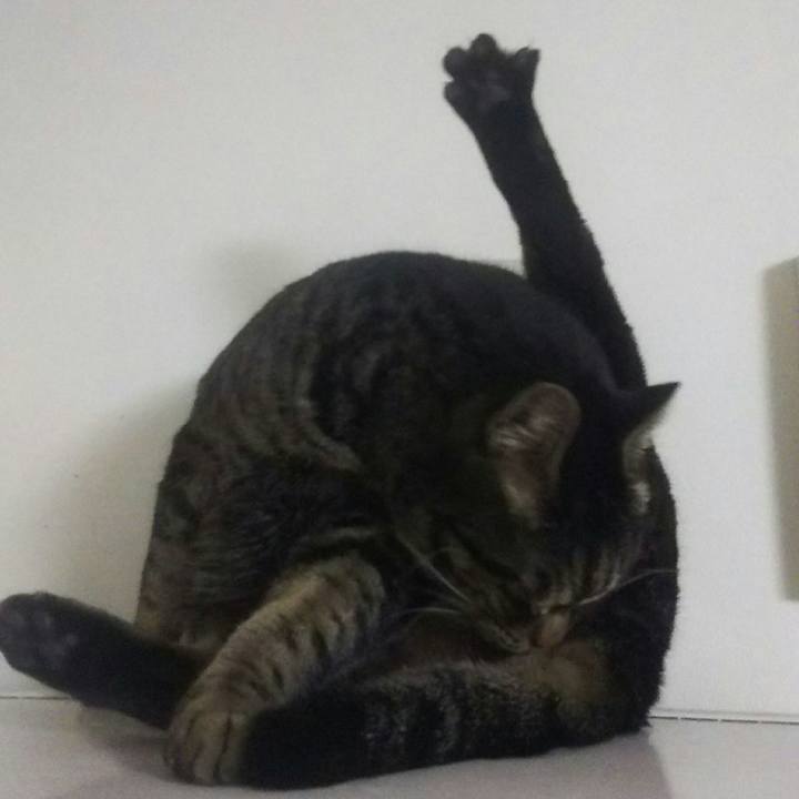 E2fd3e6e a340 4548 ba40 91c6ad37a56d