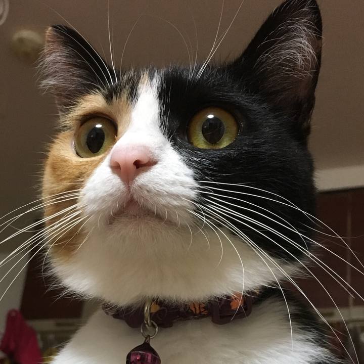 E2fec074 b76d 4605 99bd 81a6e7913d9d