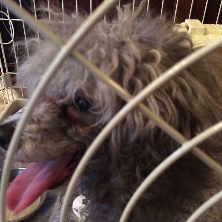 E2fec3a0 f9bf 426b ad86 52b3a70b6c47