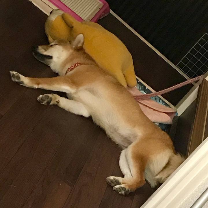 E2ffc4f2 a141 4358 80eb 3304656492da