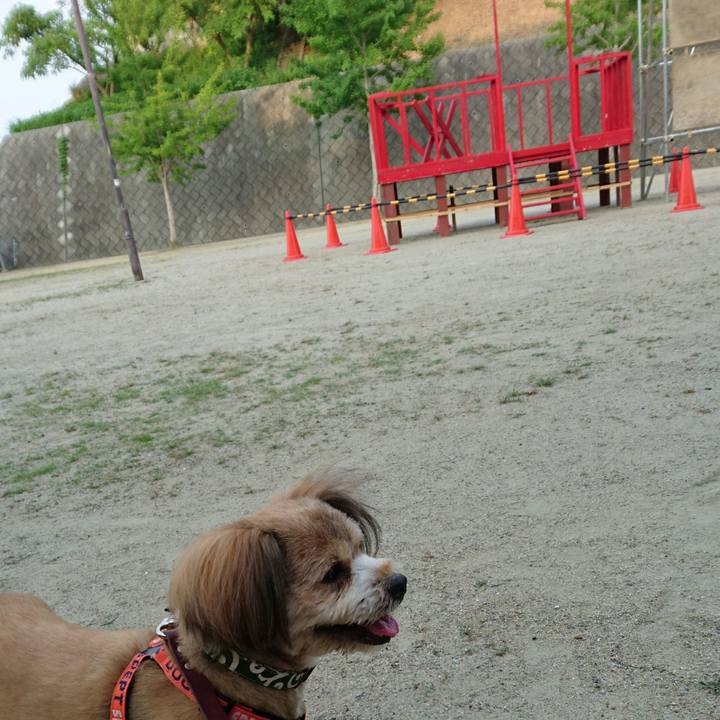 E2fff7fc 81fc 4a5e 84cb d157b615d4d7