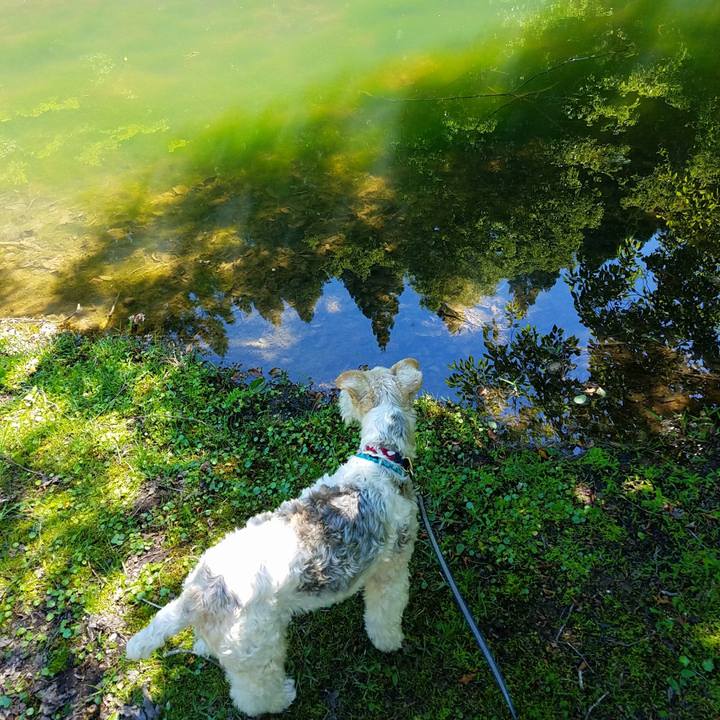 E3001e59 dd9b 42a9 9dfd 12eb26a1111d