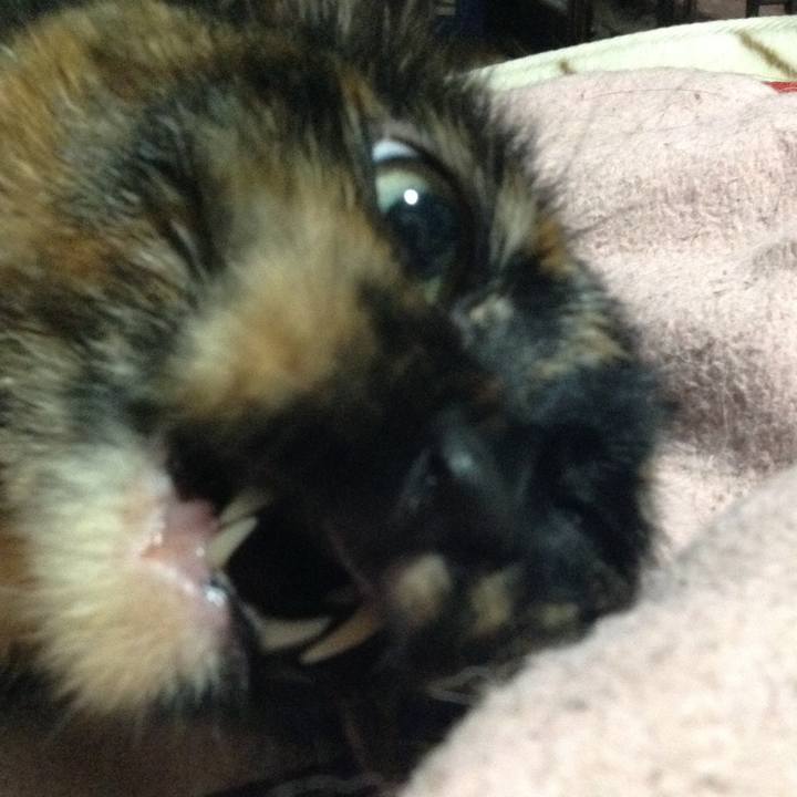 E3004419 722d 4c9d 89f1 034c8da94d5d