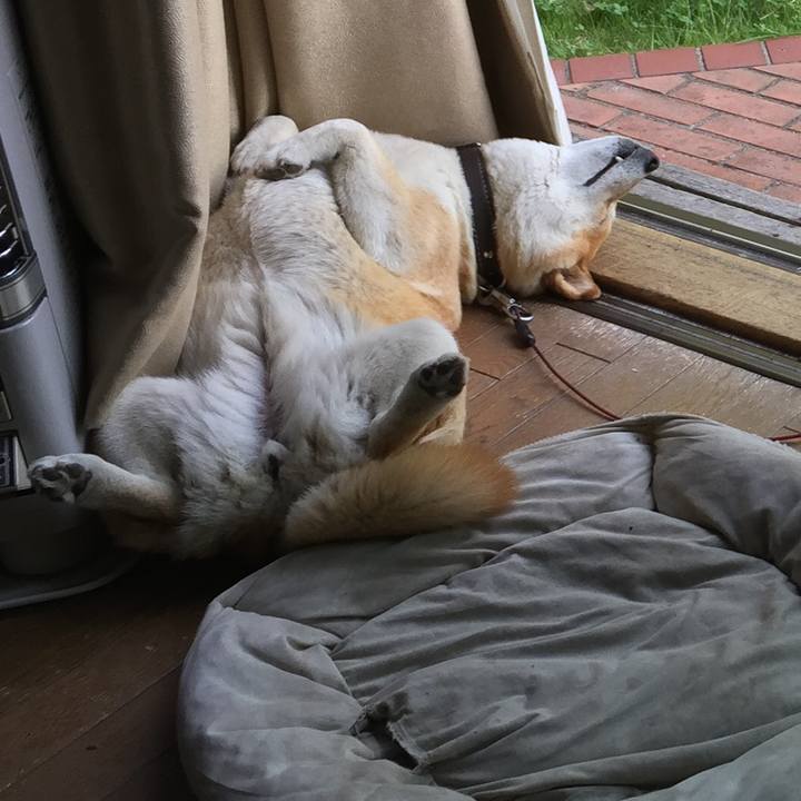 E3009c03 958b 474a 8404 b99dc5b3d224